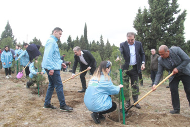 Ulu Öndərin xatirəsinə həsr olunan ağacəkmə aksiyası-09.05.2022
